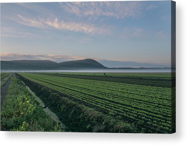 Landscape Acrylic Print featuring the photograph Dawn and Fog Over the Farmland by Angelo Marcialis