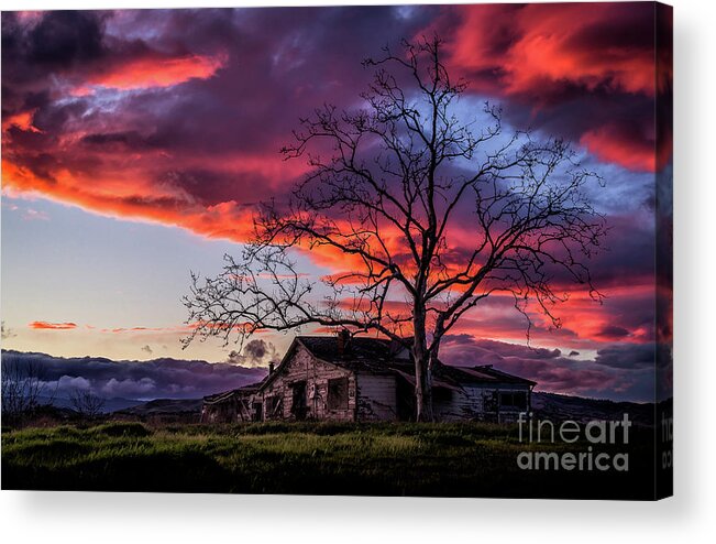 Capay Acrylic Print featuring the photograph Days Gone Bye by Paul Gillham