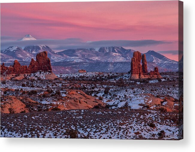 Moab Acrylic Print featuring the photograph Desert Beauty by Dan Norris