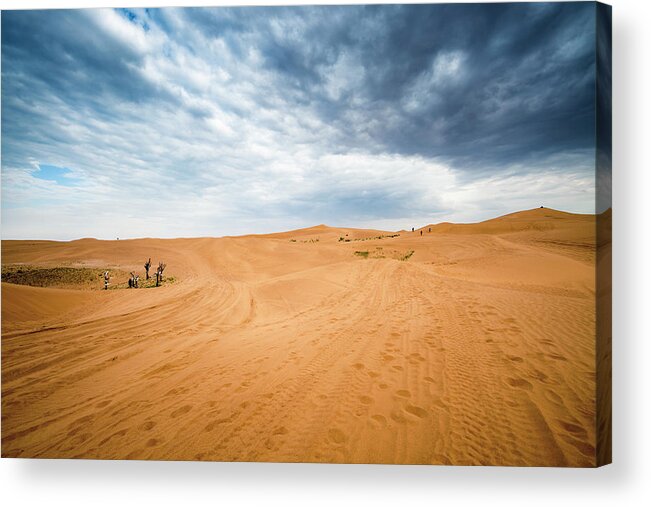 Scenics Acrylic Print featuring the photograph Desert by Chinaface