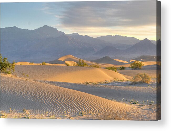 Scenics Acrylic Print featuring the photograph Desert Dawn by Photo By John Rice