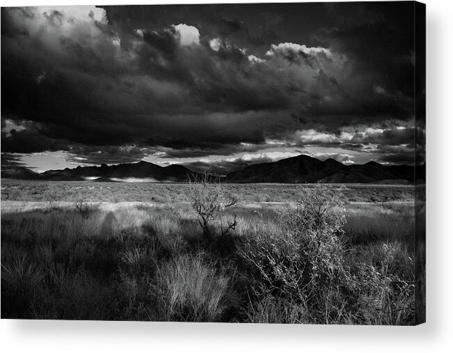 Arizona Acrylic Print featuring the photograph Arizona Desert Black and White by Chance Kafka