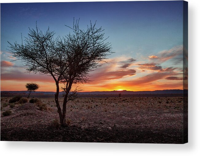 Morocco Acrylic Print featuring the photograph Desert Sunset by Peter OReilly