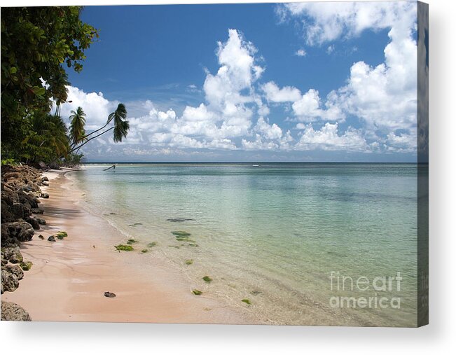 Trinidad And Tobago Acrylic Print featuring the photograph Deserted by John Edwards
