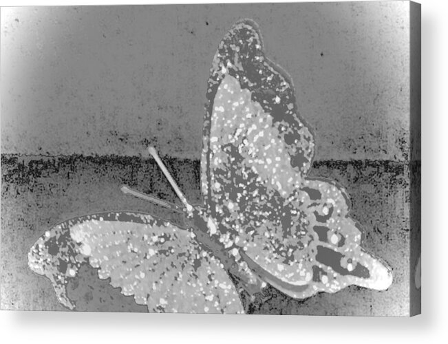 Butterfly Acrylic Print featuring the photograph Digital Butterfly by Debra Grace Addison