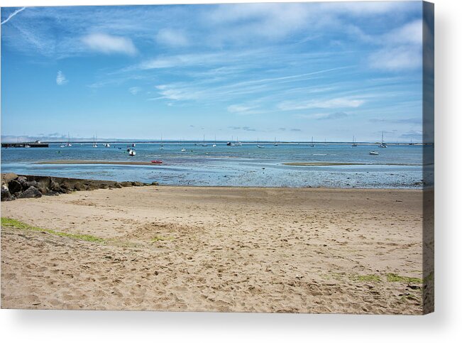 Provincetown Acrylic Print featuring the photograph Dog Beach - Provincetown Massachusetts by Brendan Reals