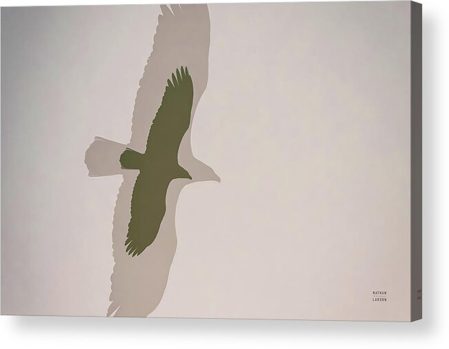 Animal Acrylic Print featuring the photograph Double Eagle by Nathan Larson