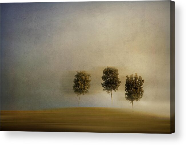 Outdoors Acrylic Print featuring the photograph Dreaming With Trees by Iñaki De Luis