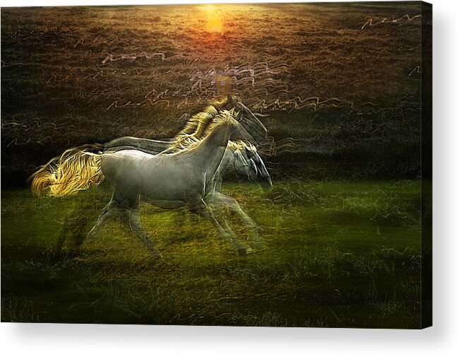 Action Acrylic Print featuring the photograph Dreamy Way by Milan Malovrh