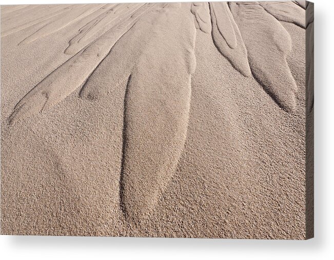 Dune Patterns Acrylic Print featuring the photograph Dune Patterns by Michael Blanchette Photography