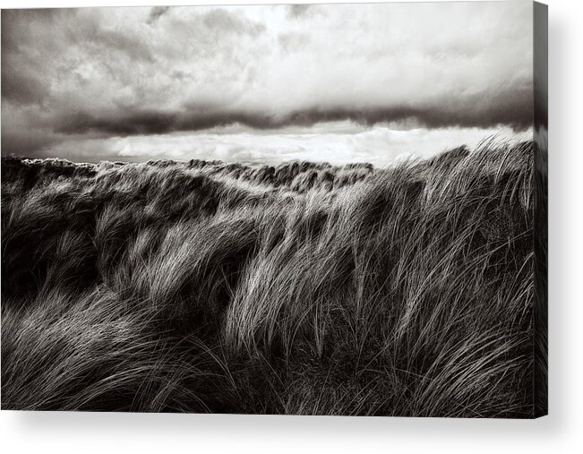 Grass Acrylic Print featuring the photograph Dunes Of Grass by Paul