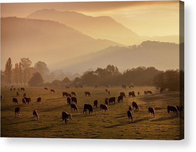 Scenics Acrylic Print featuring the photograph Dusk Over The Mountains by Ann Clarke Images