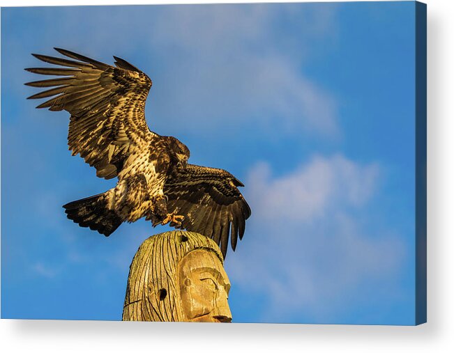 Bald Eagle Acrylic Print featuring the photograph Eagle and Totem Pole by Michelle Pennell