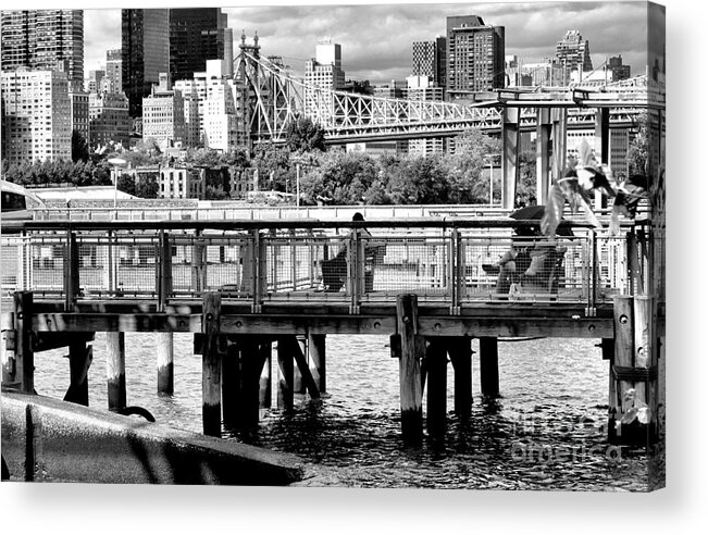 Cityscape Acrylic Print featuring the photograph East RiverScape No.1 by Steve Ember