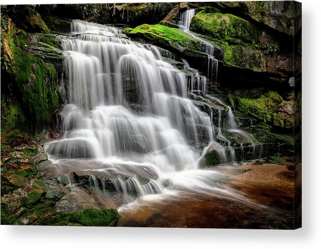 West Virginia Acrylic Print featuring the photograph Enchanted Forest by Mike Lang