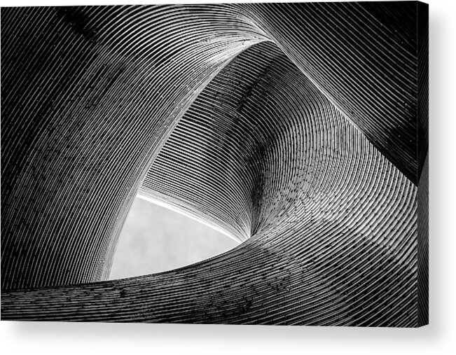 Lines Acrylic Print featuring the photograph Entwined by Peter Pfeiffer