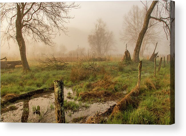 Fog Acrylic Print featuring the photograph Ethereal Edge by Marcy Wielfaert