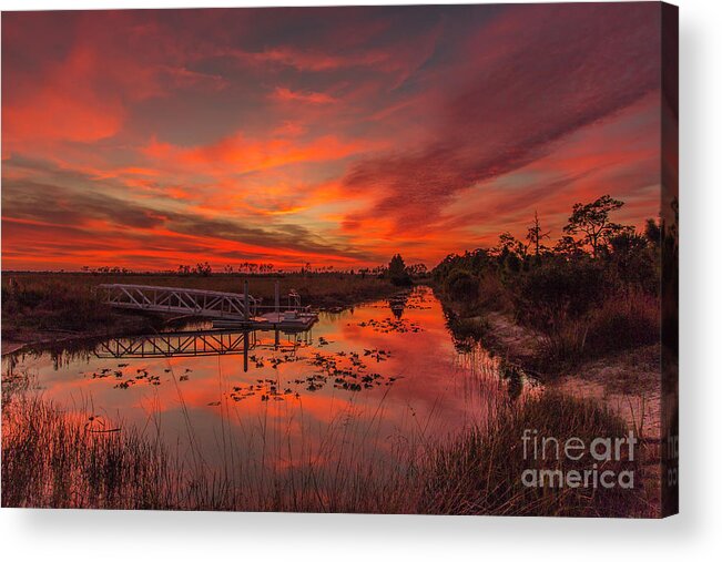 Sun Acrylic Print featuring the photograph Explosive Sunset at Pine Glades by Tom Claud