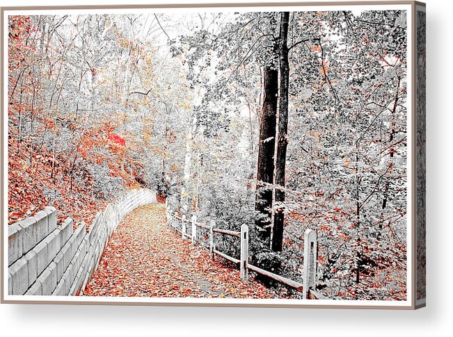 Fairmount Park Acrylic Print featuring the photograph Fairmount Park, Path in Autumn, Philadelphia, Pennsylvania by A Macarthur Gurmankin