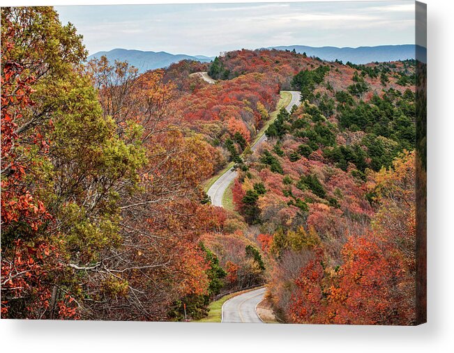 America Acrylic Print featuring the photograph Fall Along the Talimena Scenic Drive Byway - Oklahoma by Gregory Ballos