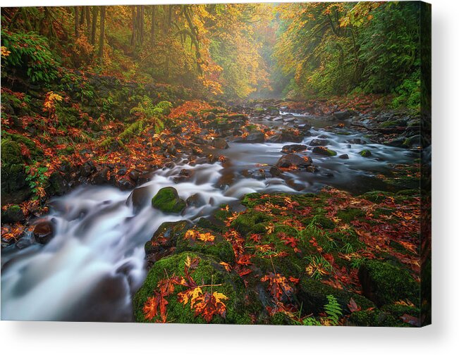 Fall Acrylic Print featuring the photograph Fall Fantasy 3 by Darren White