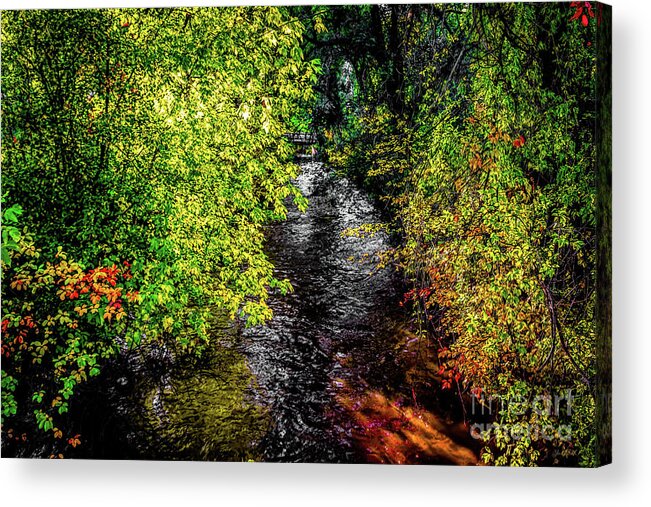 Jon Burch Acrylic Print featuring the photograph Fall Foliage by Jon Burch Photography