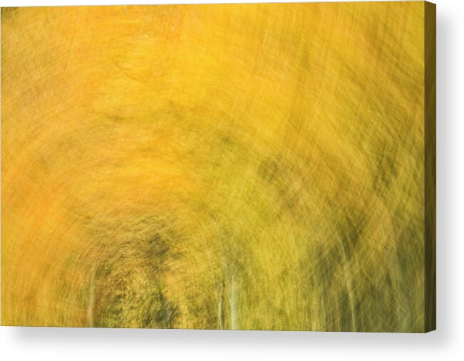 Abstract Acrylic Print featuring the photograph Fall Frenzy by Denise Bush