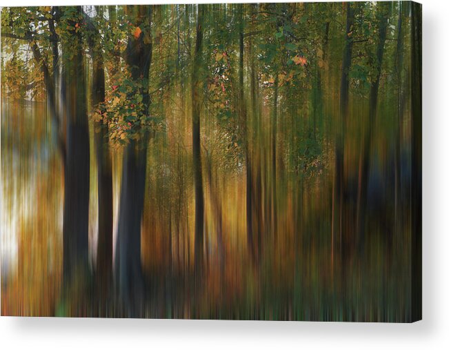 Fall Acrylic Print featuring the photograph Fall Impression #1 by ??? / Austin