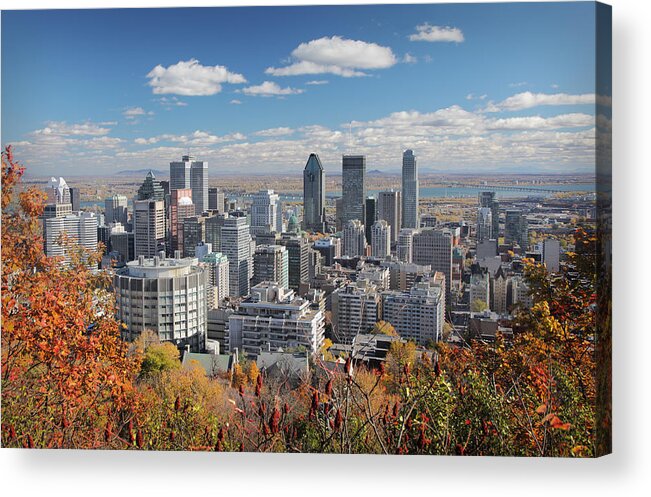 Orange Color Acrylic Print featuring the photograph Fall Trees With Montreal Skyline In by Buzbuzzer