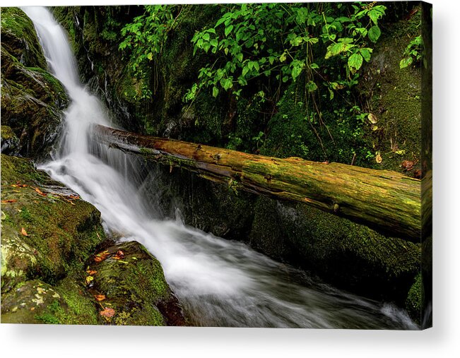 Waterfall Acrylic Print featuring the photograph Fallen Tree Waterfall by William Dickman