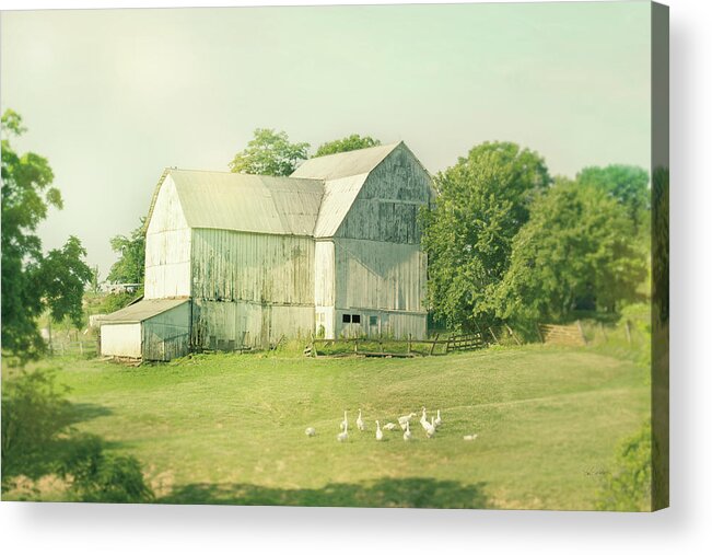 Animal Acrylic Print featuring the photograph Farm Morning IIi by Sue Schlabach