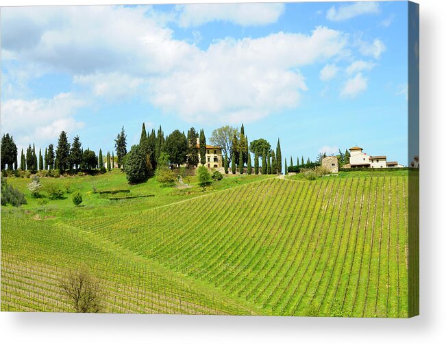 Scenics Acrylic Print featuring the photograph Farmhouse And Vineyard Landscape by Lisa-blue