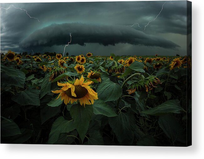 South Dakota Acrylic Print featuring the photograph Fear Inoculum by Aaron J Groen