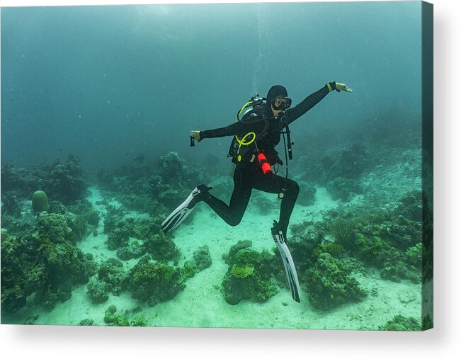Scuba Divers Pose Underwater Stock Image - Image of blue, aquatic: 19846473