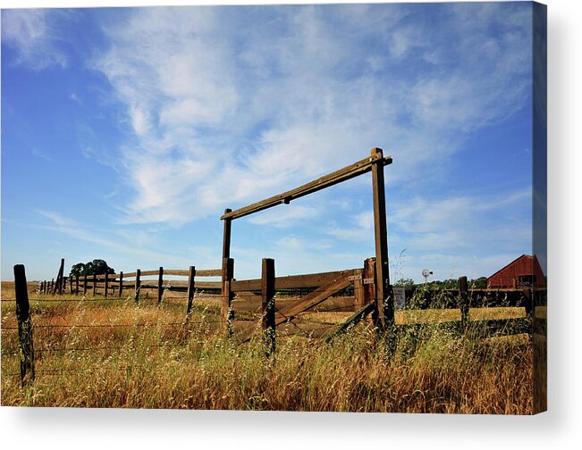 Tranquility Acrylic Print featuring the photograph Fences In Field by Daryl D'angelo
