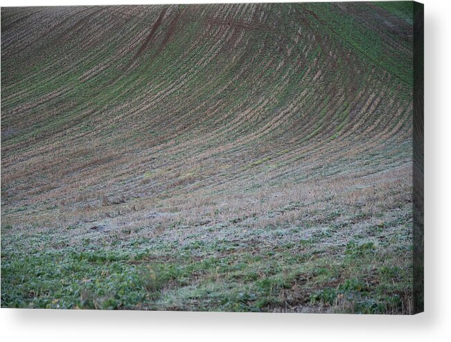 Field Acrylic Print featuring the photograph Field Patterns by Mark Hunter
