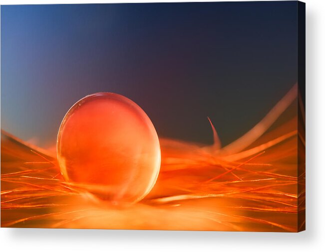 Fire Acrylic Print featuring the photograph Fire by Hilde Ghesquiere