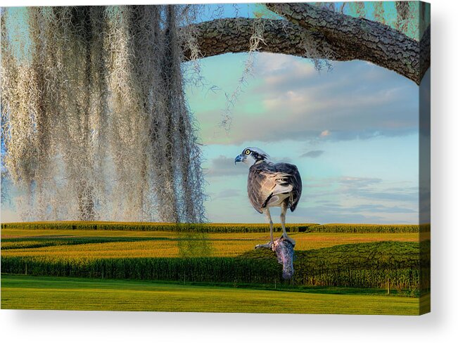 Orlando Acrylic Print featuring the photograph Fish, Fowl And Corn by Ed Esposito