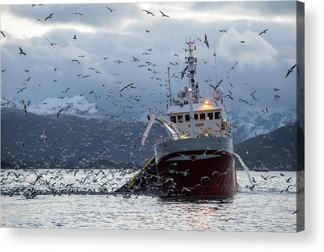 Outdoors Acrylic Print featuring the photograph Fishing For Herring by By Wildestanimal