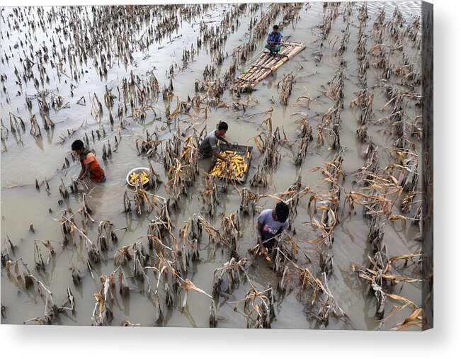  Acrylic Print featuring the photograph Flood Affected by Azim Khan Ronnie