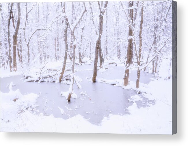 Trees Acrylic Print featuring the photograph Flooded trees in the snow by Karen Smale