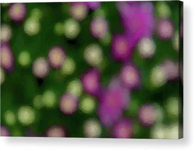 Pink Acrylic Print featuring the photograph Floral Vision by Cathy Kovarik