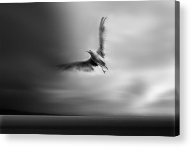 Seascape Acrylic Print featuring the photograph Fly Away With Me by Yvette Depaepe