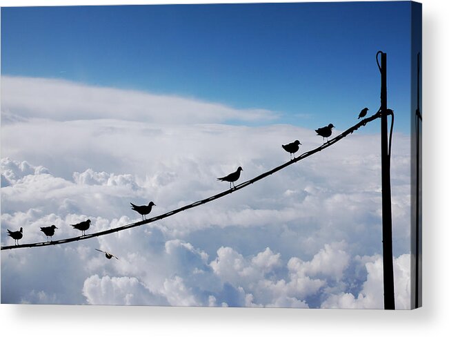 Pole Acrylic Print featuring the photograph Flying Test by Ulrich Mueller