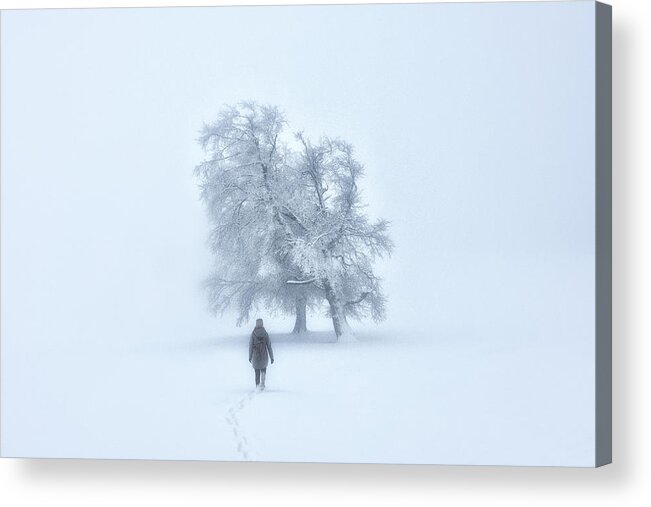 Fog Acrylic Print featuring the photograph Foggy Winterland by Zbyszek Nowak