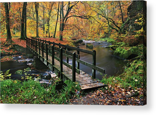 Tranquility Acrylic Print featuring the photograph Footbridge Over A River In An Autumnal by Simon Butterworth