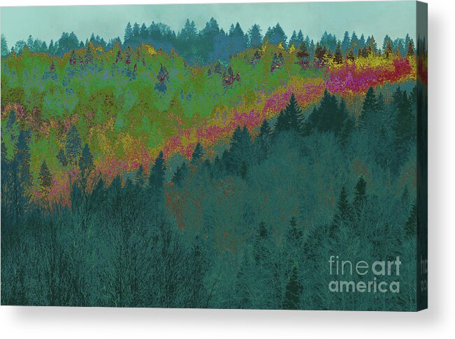 Forest Acrylic Print featuring the digital art Forest and Valley by Corinne Carroll