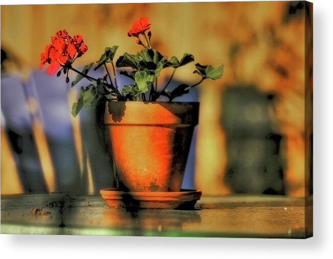 Still Life Photos Acrylic Print featuring the photograph Forever Flower by Kandy Hurley
