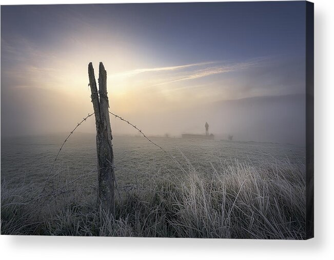 Barbed Wire Acrylic Print featuring the photograph Free? by Patxi Prez
