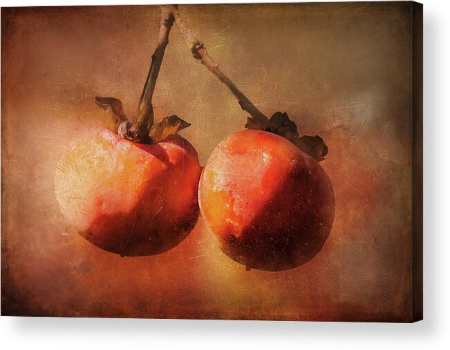 Photography Acrylic Print featuring the digital art Fuji Persimmons by Terry Davis